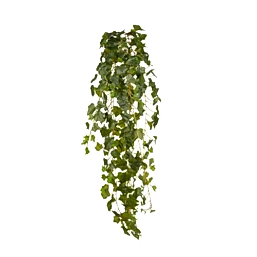 Ivy Hanging Bush (120 CM) Ivy Hanging Bush (120 CM)