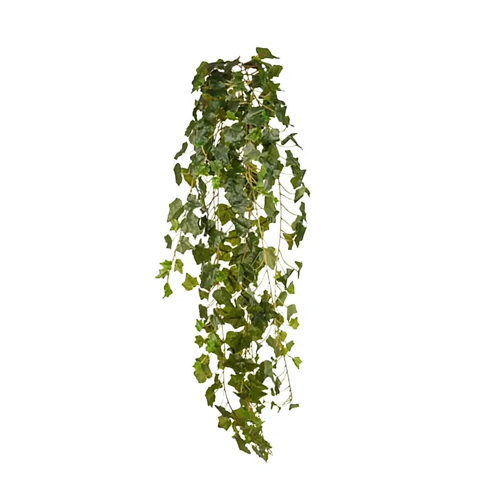 Ivy Hanging Bush (120 CM) Ivy Hanging Bush (120 CM)