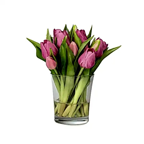 Küçük Cam Vazoda Islak Dokulu Jelli Mauve Lale Aranjman (23 CM) Küçük Cam Vazoda Islak Dokulu Jelli Mauve Lale Aranjman (23 CM)