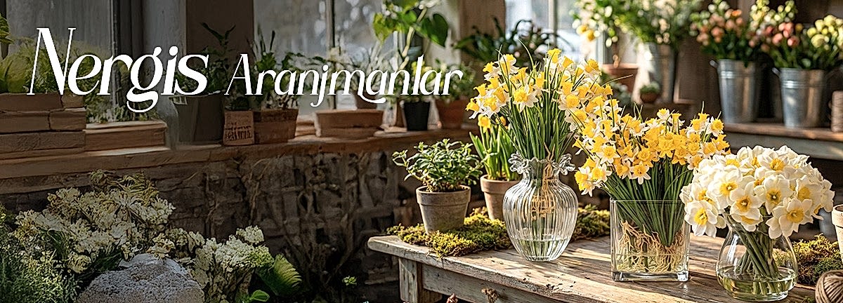 Desktop Banner