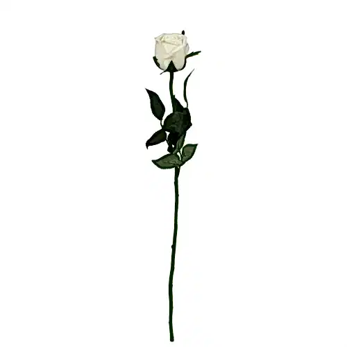 Yapay Tek Dal Islak Dokulu Gül (60 CM)