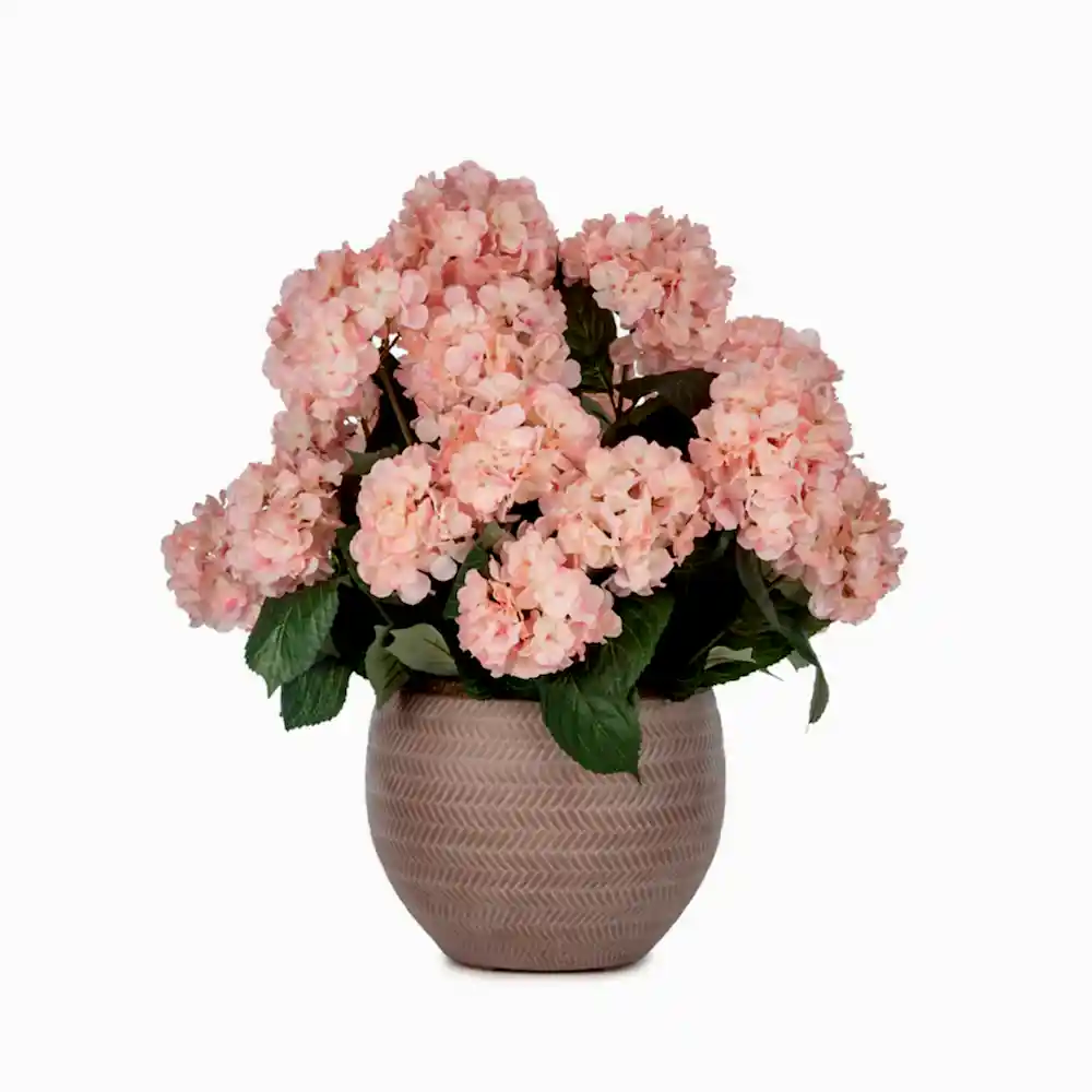 Beton Saksıda Pembe Ortanca Aranjman (53 CM) Beton Saksıda Pembe Ortanca Aranjman (53 CM)